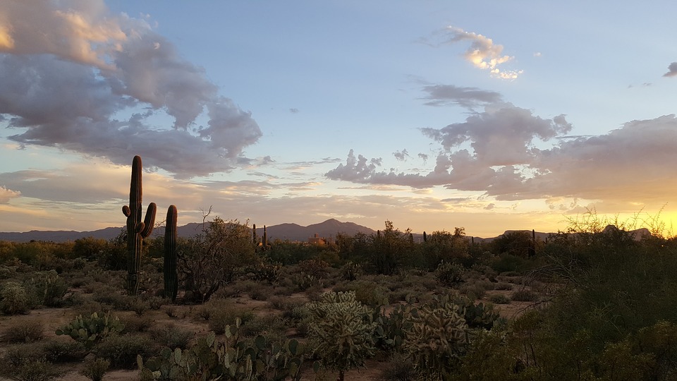 Arizona landscape